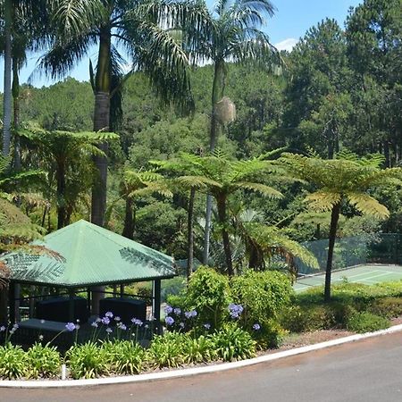 Montville Mountain Inn Exteriér fotografie