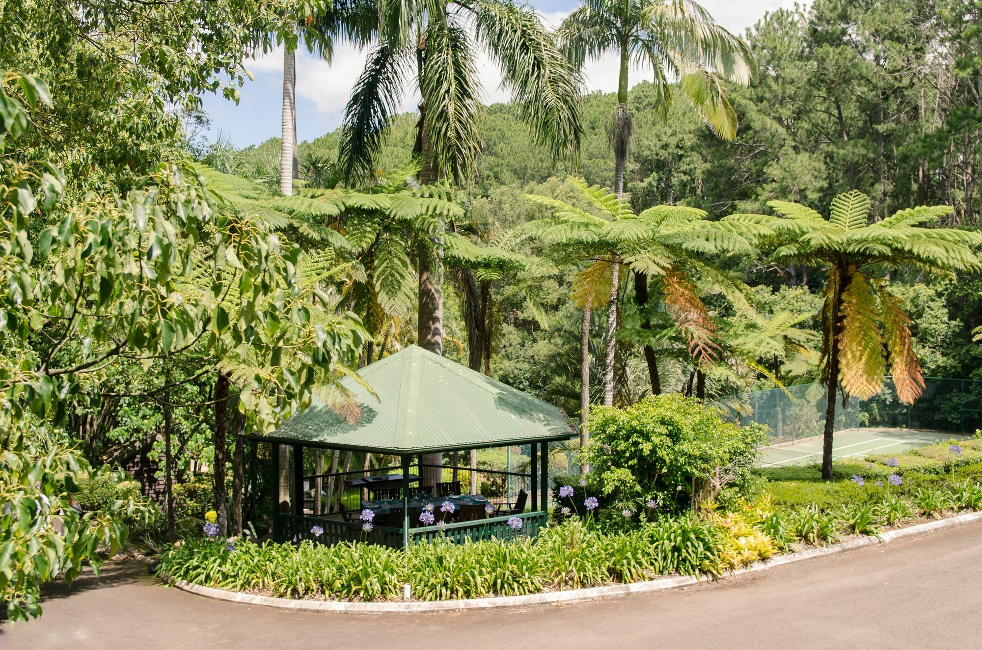 Montville Mountain Inn Exteriér fotografie